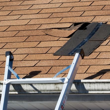 A Damaged Shingle Roof